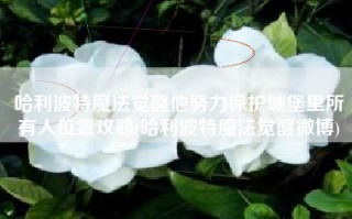 哈利波特魔法觉醒他努力保护城堡里所有人位置攻略(哈利波特魔法觉醒微博)