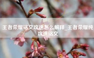 王者荣耀铭文攻速怎么解释_王者荣耀纯攻速铭文