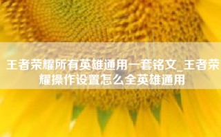 王者荣耀所有英雄通用一套铭文_王者荣耀操作设置怎么全英雄通用