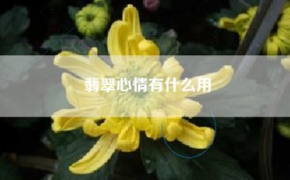 翡翠心情有什么用