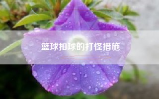 篮球扣球的打怪措施