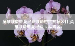 英雄联盟电竞经理联盟对抗赛怎么打(英雄联盟电竞经理theshy阵容)