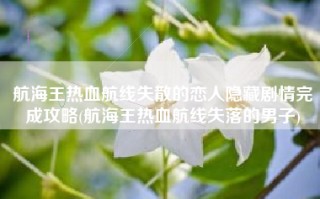 航海王热血航线失散的恋人隐藏剧情完成攻略(航海王热血航线失落的男子)