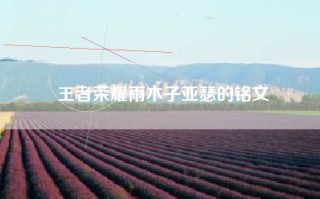 王者荣耀雨木子亚瑟的铭文