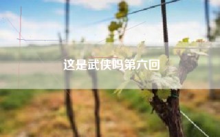 这是武侠吗第六回