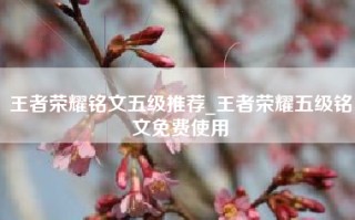 王者荣耀铭文五级推荐_王者荣耀五级铭文免费使用