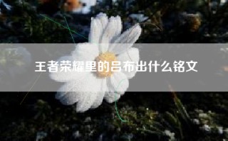 王者荣耀里的吕布出什么铭文