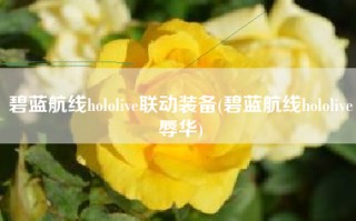 碧蓝航线hololive联动装备(碧蓝航线hololive辱华)