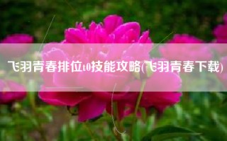 飞羽青春排位t0技能攻略(飞羽青春下载)