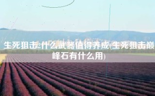 生死狙击2什么武器值得养成(生死狙击巅峰石有什么用)