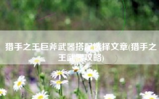 猎手之王巨斧武器搭配选择文章(猎手之王武器攻略)