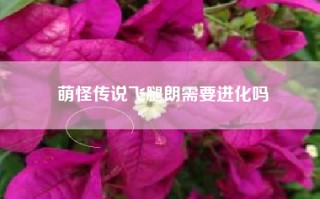 萌怪传说飞腿朗需要进化吗