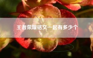 王者荣耀铭文一起有多少个