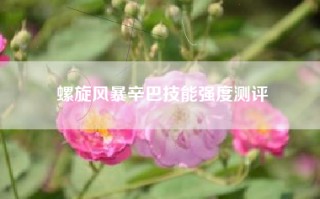 螺旋风暴辛巴技能强度测评