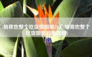 给我也整个吃货姐姐第21关(给我也整个吃货姐姐收集攻略)