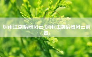 烟雨江湖暗器风云(烟雨江湖暗器风云前置)