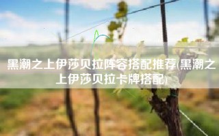 黑潮之上伊莎贝拉阵容搭配推荐(黑潮之上伊莎贝拉卡牌搭配)