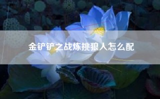 金铲铲之战炼挑狼人怎么配