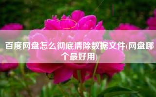 百度网盘怎么彻底清除数据文件(网盘哪个最好用)