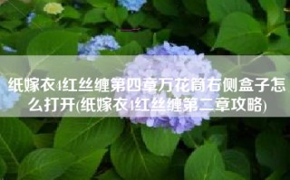 纸嫁衣4红丝缠第四章万花筒右侧盒子怎么打开(纸嫁衣4红丝缠第二章攻略)