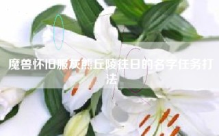 魔兽怀旧服灰熊丘陵往日的名字任务打法