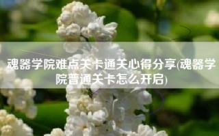 魂器学院难点关卡通关心得分享(魂器学院普通关卡怎么开启)