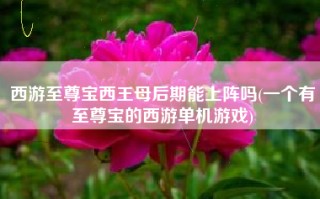 西游至尊宝西王母后期能上阵吗(一个有至尊宝的西游单机游戏)