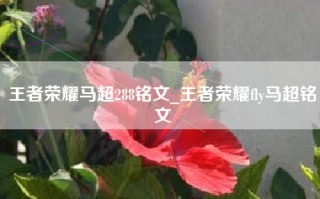 王者荣耀马超288铭文_王者荣耀fly马超铭文
