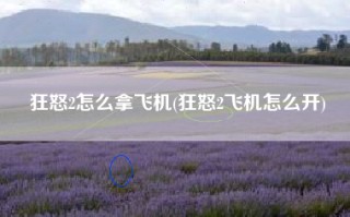 狂怒2怎么拿飞机(狂怒2飞机怎么开)