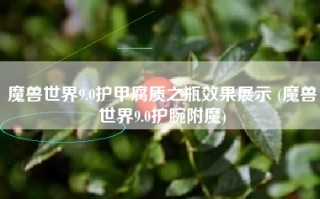 魔兽世界9.0护甲腐质之瓶效果展示 (魔兽世界9.0护腕附魔)
