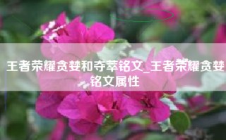 王者荣耀贪婪和夺萃铭文_王者荣耀贪婪铭文属性