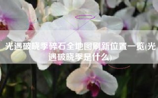光遇破晓季碎石全地图刷新位置一览(光遇破晓季是什么)