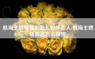 航海王燃烧意志怎么野外杀人(航海王燃烧意志怎么换绑)