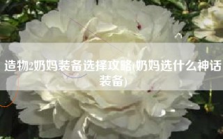 造物2奶妈装备选择攻略(奶妈选什么神话装备)