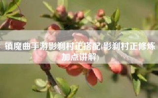 镇魔曲手游影刹村正搭配(影刹村正修炼加点讲解)