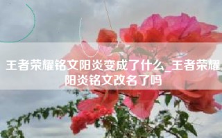王者荣耀铭文阳炎变成了什么_王者荣耀阳炎铭文改名了吗