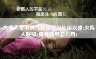 火柴人觉醒勇气精魄获取使用攻略(火柴人联盟2勇气勋章怎么用)