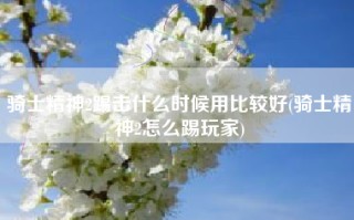 骑士精神2踢击什么时候用比较好(骑士精神2怎么踢玩家)