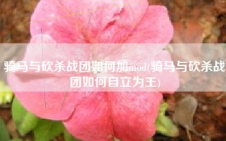骑马与砍杀战团如何加mod(骑马与砍杀战团如何自立为王)