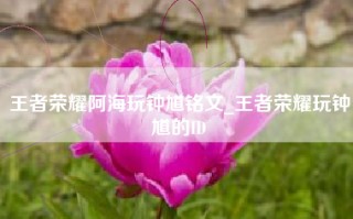 王者荣耀阿海玩钟馗铭文_王者荣耀玩钟馗的ID