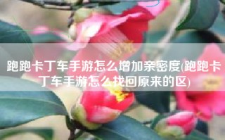 跑跑卡丁车手游怎么增加亲密度(跑跑卡丁车手游怎么找回原来的区)