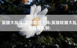 英雄大乱斗2英雄如何上阵(英雄联盟大乱斗英雄机制)