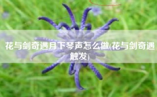 花与剑奇遇月下琴声怎么做(花与剑奇遇触发)