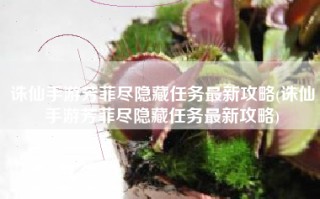 诛仙手游芳菲尽隐藏任务最新攻略(诛仙手游芳菲尽隐藏任务最新攻略)