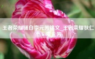 王者荣耀骚白李元芳铭文_王者荣耀狄仁杰×李元芳