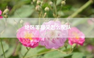 绝区零猫又怎么配队