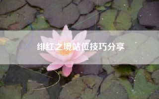 绯红之境站位技巧分享