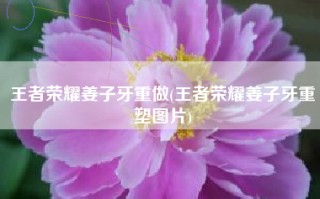 王者荣耀姜子牙重做(王者荣耀姜子牙重塑图片)
