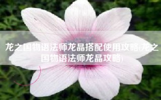 龙之国物语法师龙晶搭配使用攻略(龙之国物语法师龙晶攻略)
