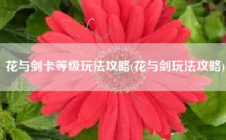 花与剑卡等级玩法攻略(花与剑玩法攻略)